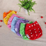 Colorful baby bloomers arranged on a textured surface with a plant in the background.